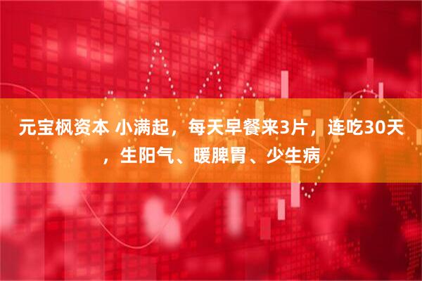 元宝枫资本 小满起，每天早餐来3片，连吃30天，生阳气、暖脾胃、少生病